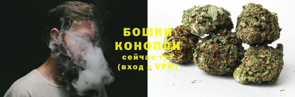 шишки Наволоки