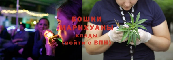 шишки Наволоки