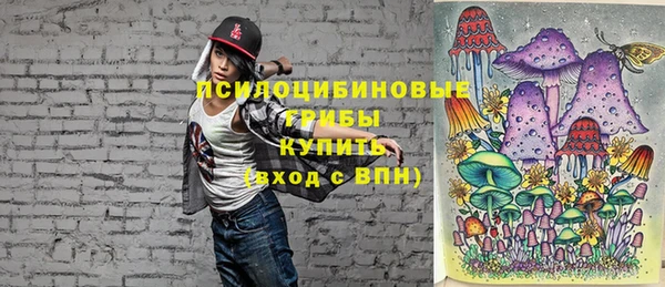 шишки Наволоки