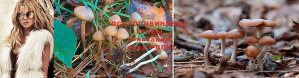 прущая мука Навашино