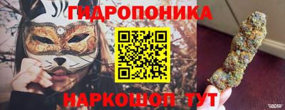 прущие грибы Пушкино