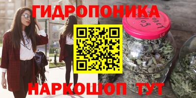 прущие грибы Пушкино