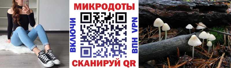 даркнет сайт  Стерлитамак  Галлюциногенные грибы ЛСД 