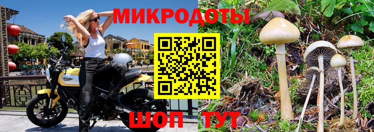 Псилоцибиновые грибы Psilocybine cubensis Стерлитамак