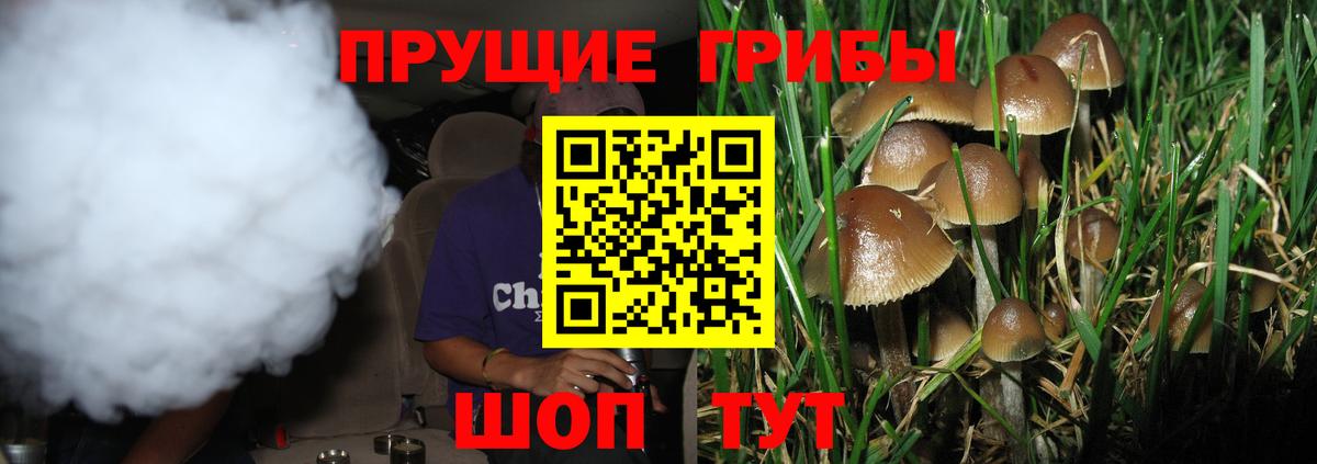 Псилоцибиновые грибы Psilocybine cubensis  купить наркотики цена  Стерлитамак  Вход с VPN 